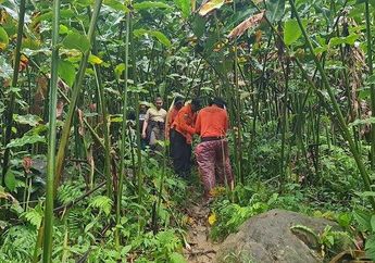 Niat Cari Durian, 3 Orang di Padang Tersesat dan Terpaksa Bermalam di Hutan, Satu Ditemukan dalam Kondisi Lemas