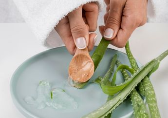 Manfaat Lidah Buaya untuk Bantu Mengobati Jerawat, Simak Cara Pakainya!