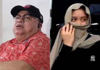 Razman Arif Nasution Ungkap Kelanjutan Proses Adopsi Anak Nikita Mirzani