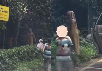 Sanksi Tegas Taman Safari Bogor Usai Viral Aksi Pengunjung Keluar Mobil di Area Satwa