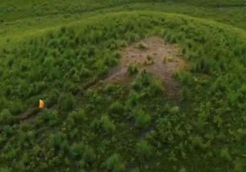 Ladang Ganja di Bromo Pertama Ditemukan pada 2024, Bantah Terkait Pembatasan Drone