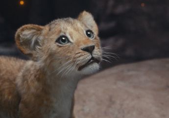 Sinopsis Film Mufasa: The Lion King, Asal Usul sang Raja Hutan