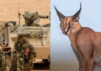 Tentara Israel Diserang Lynx Pasca Langgar Gencatan Senjata Gaza, Kondisi IDF Parah