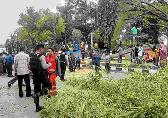 Innalillahi, Tragedi Pohon Beringin Tumbang Saat Salat Ied di Pemalang Tewaskan 2 Jemaah, Begini Kronologinya