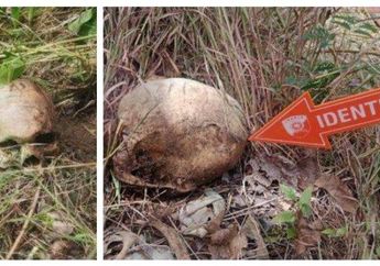 Kronologi Penemuan Tengkorak Manusia di NTT, Terungkap karena Gonggongan Anjing