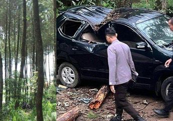 Kronologi Bocah Asal Solo Tertimpa Pohon Tumbang saat Wisata ke Tawangmangu, Tak Sempat Rayakan Ultah ke-12