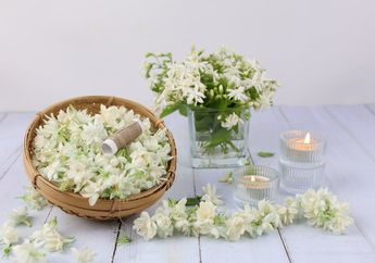 5 Arti Mimpi Bunga Melati Menurut Primbon Jawa, Pertanda Keberuntungan Rezeki dan Cinta