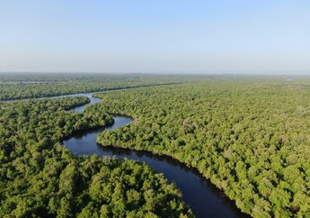 Kemitraan dan Pendanaan Berkelanjutan: Kunci Sinergi Konservasi dalam Mangrove Breakthrough