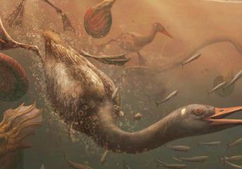 Fosil Burung Langka dari Zaman Dinosaurus Ungkap Evolusi Burung Modern