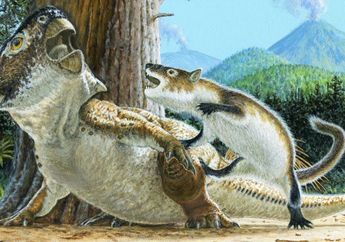 Dinosaurus vs Mamalia: Fosil Ini Mengungkap Pertarungan Prasejarah