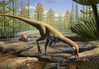 Ahvaytum bahndooiveche, Bukti Dinosaurus Awal di Belahan Bumi Utara