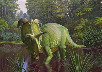 Penemuan Dinosaurus Baru Picu Perdebatan di Kalangan Paleontolog