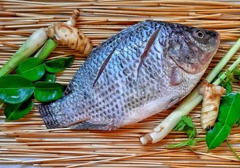 7 Arti Mimpi Ikan, Pertanda Anda Akan Ketiban Rezeki Dadakan?