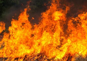 3 Arti Mimpi Terbakar, Apakah Pertanda Baik atau Buruk?