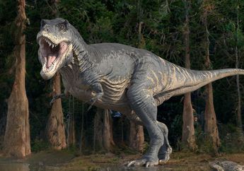 Mengapa Dinosaurus Tyrannosaurus rex Memiliki Lengan yang Sangat Kecil?