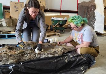Ruopodosaurus clava, Spesies Baru Dinosaurus yang Berzirah dan Berekor Gada
