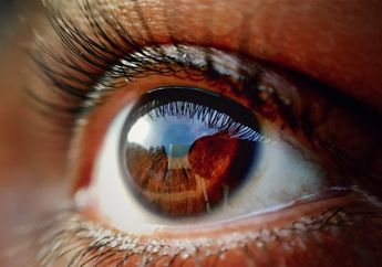 Sel Baru Ditemukan di Retina, Benarkah Mampu Pulihkan Penglihatan?