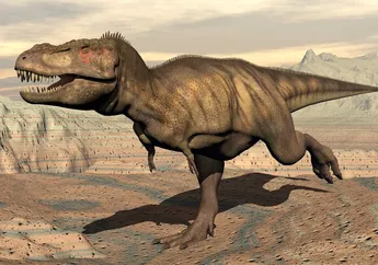 Bagaimana Dinosaurus T. rex Mencari Makan, dengan Berburu atau Mengais Bangkai?