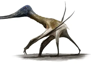 Tak Hanya Ahli Terbang, Pterosaurus Juga Berjalan di Antara Dinosaurus