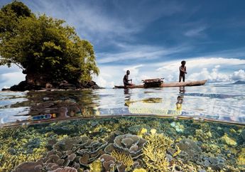Apa Itu Ekonomi Biru yang Diklaim Bisa Jadi Penentu Masa Depan Bumi?