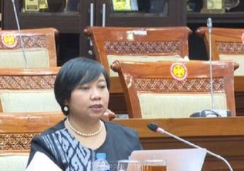 Profil Anis Hidayah, Ketua Komnas HAM yang Baru, Gantikan Atnike Nova Sigiro