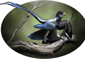 Satu-satunya yang Tersisa, Bagaimana Dinosaurus Berevolusi Menjadi Burung?