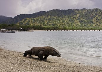 Bagaimana Tempat-Tempat Ini Diklaim Bakal Mengingatkan Kita pada Dinosaurus?