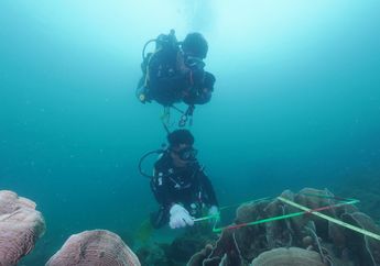 Pemerintah Provinsi Kepulauan Riau Siap Menerapkan Skema Pendanaan Berkelanjutan untuk Pengelolaan Kawasan Konservasi Perairan