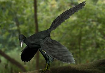 Seperti Apa Tampilan Burung Pertama Sebelum Menjadi Burung yang Sekarang?