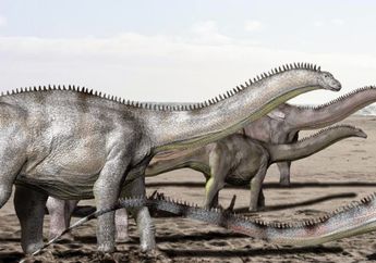 Mengapa Nama Brontosaurus Dilenyapkan Ratusan Tahun Tapi Kemudian Digunakan Lagi?