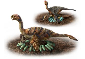 Benarkah Sisi Lembut Dinosaurus Terungkap dari Cara Mereka Merawat Telur?