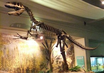Megalosaurus: Kisah Dinosaurus Pertama yang Mengubah Dunia Sains untuk Selamanya