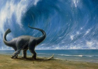 Amber Kecil di Jepang Ungkap Tsunami Dahsyat pada Zaman Dinosaurus
