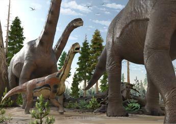 Kepunahan Dinosaurus Mengubah Hutan dan Evolusi Biji selama Jutaan Tahun