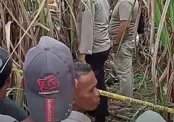 Kronologi Wanita Hamil Ditemukan Tewas di Kebun Tebu Ogan Ilir Sumsel, Berawal Pamit Antar Pesanan