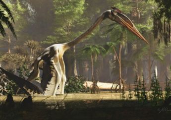 Mengenal Quetzalcoatlus, Dinosaurus Terbang Terbesar di Dunia