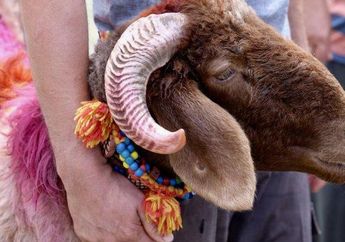 7 Tradisi Unik Idul Adha di Berbagai Negara Selain Sembelih Hewan Kurban, Ada Konser hingga Karnaval