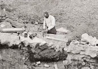 Awal Penemuan Dinosaurus: Kapan Manusia Pertama Kali Menyadarinya?