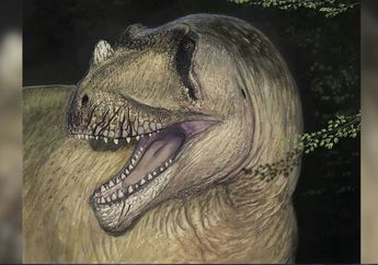 Misteri Fosil Dinosaurus Bertanduk yang Hancur pada Perang Dunia 2