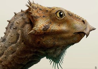 Bocoran 'Jurassic World: Rebirth', Penampilan Perdana Aquilops si Dinosaurus Mungil