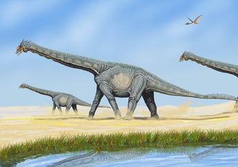 Mengapa Dinosaurus Berleher Panjang Sulit Menjaga Lehernya dalam Posisi Vertikal?