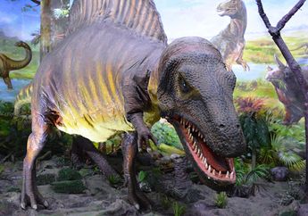 Ada 700 Spesies Dinosaurus Ditemukan dan Diberi Nama, Mengapa Begitu Banyak?