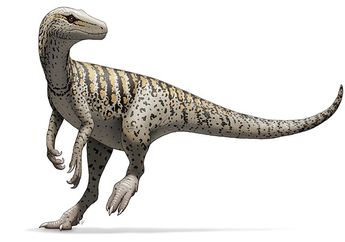 Fosil-Fosil Tertua Beri Petunjuk Tempat Kelahiran Dinosaurus Pertama