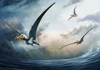 Bagaimana Dinosaurus dan Burung Mengembangkan Kemampuan Terbang?