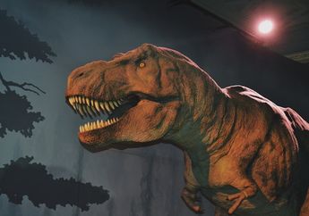 Bagaimana Cara Membedakan antara Dinosaurus Jantan dan Betina?
