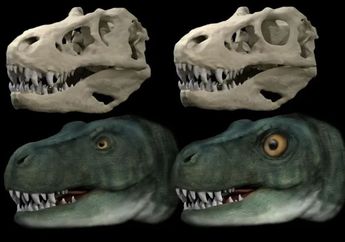 Bukan Hanya Tangan Kecil, Ternyata Mata Dinosaurus T-Rex Juga Kecil