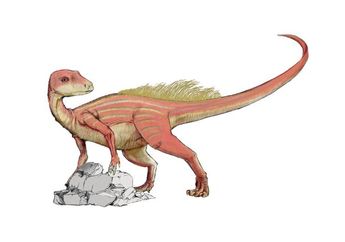Temuan Fosil di Maroko Memberi Petunjuk Mengapa Dinosaurus Punah