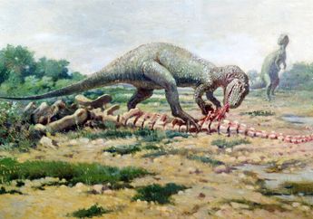 Apa yang Membuat Allosaurus Menjadi Dinosaurus Kanibal?