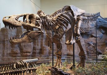 Benua Terbesar Kedua, Mengapa Hanya Sedikit Fosil Dinosaurus yang Ditemukan di Afrika?