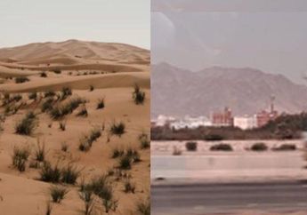 Nekat Pakai Jalur Ilegal ke Mekkah, 3 WNI Terkena Razia, Satu Orang Meninggal Dunia Diduga Dehidrasi